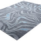 Zebra Blue Silver 2