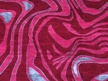 Zebra Fuschia 1