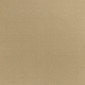 Sagawa Olive Green