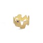 Panjshir Ring
