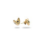 Pishak Studs