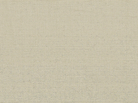 Solid Beige scan