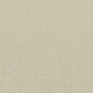 Solid Beige scan
